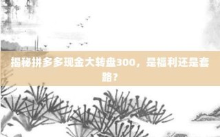 揭秘拼多多现金大转盘300，是福利还是套路？
