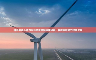 拼多多真人助力平台免费微信操作秘籍，轻松获取助力攻略大全