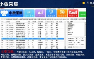 公司服务多样：个人版与工作室版，含拼多多相关资源服务