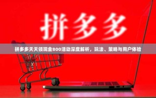 拼多多天天领现金800活动深度解析，玩法、策略与用户体验
