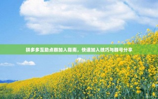 拼多多互助点群加入指南，快速加入技巧与群号分享