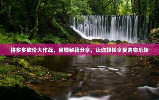 拼多多砍价大作战，省钱秘籍分享，让你轻松享受购物乐趣