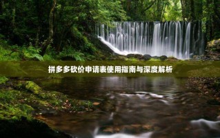 拼多多砍价申请表使用指南与深度解析