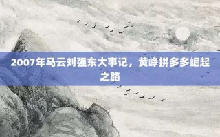 2007年马云刘强东大事记，黄峥拼多多崛起之路