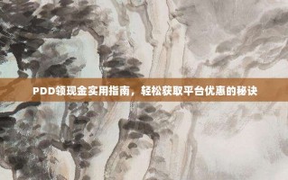PDD领现金实用指南，轻松获取平台优惠的秘诀