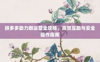 拼多多助力群运营全攻略，高效互助与安全操作指南