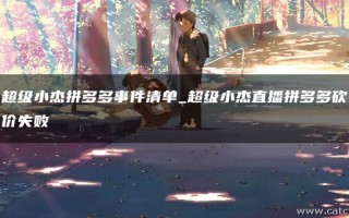 超级小杰拼多多砍价事件全过程，真相究竟如何？