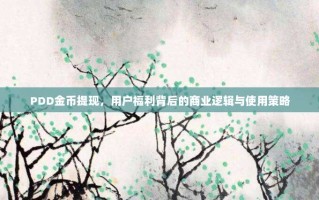 PDD金币提现，用户福利背后的商业逻辑与使用策略