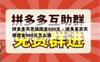 拼多多天天领现金800元 - 拼多多天天领现金800元怎么领