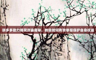 拼多多助力提现诈骗揭秘，教你如何有效举报保护自身权益