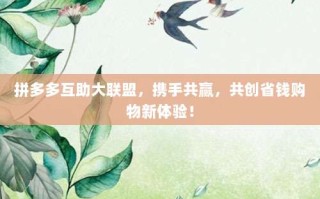 拼多多互助大联盟，携手共赢，共创省钱购物新体验！