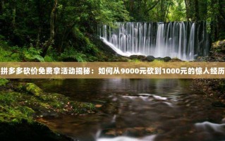 拼多多砍价免费拿活动揭秘：如何从9000元砍到1000元的惊人经历