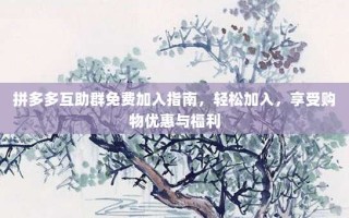 拼多多互助群免费加入指南，轻松加入，享受购物优惠与福利