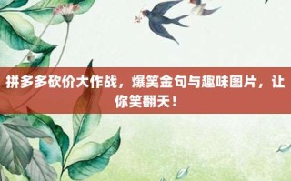 拼多多砍价大作战，爆笑金句与趣味图片，让你笑翻天！
