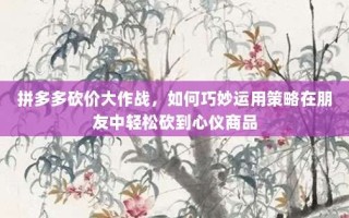 拼多多砍价大作战，如何巧妙运用策略在朋友中轻松砍到心仪商品