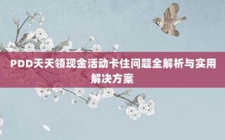 PDD天天领现金活动卡住问题全解析与实用解决方案
