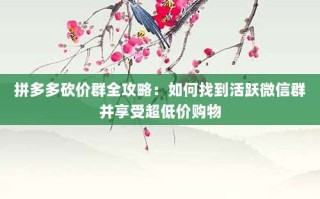拼多多砍价群全攻略：如何找到活跃微信群并享受超低价购物