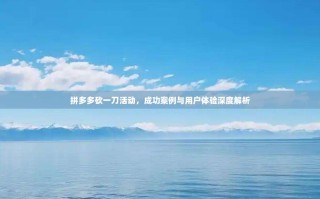 拼多多砍一刀活动，成功案例与用户体验深度解析