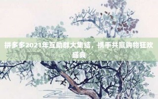 拼多多2021年互助群大集结，携手共赢购物狂欢盛典