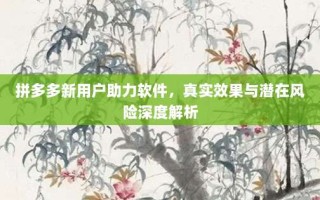 拼多多新用户助力软件，真实效果与潜在风险深度解析
