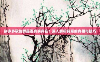 拼多多砍价群是否真实存在？深入解析背后的真相与技巧