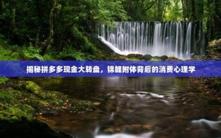 揭秘拼多多现金大转盘，锦鲤附体背后的消费心理学
