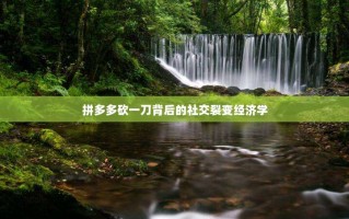 拼多多砍一刀背后的社交裂变经济学