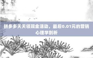 拼多多天天领现金活动，最后0.01元的营销心理学剖析