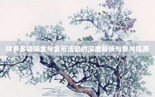 拼多多领现金与金币活动的深度解析与参与指南