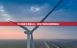 PDD现金大转盘300，新用户福利还是营销噱头？