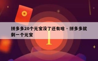 拼多多20个元宝没了还有啥 - 拼多多就剩一个元宝