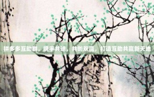 拼多多互助群，携手共进，共创双赢，打造互助共赢新天地