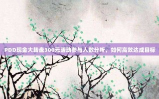 PDD现金大转盘300元活动参与人数分析，如何高效达成目标