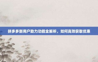 拼多多新用户助力功能全解析，如何高效获取优惠