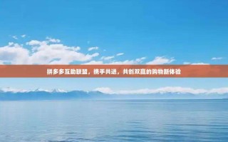 拼多多互助联盟，携手共进，共创双赢的购物新体验