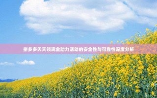 拼多多天天领现金助力活动的安全性与可靠性深度分析