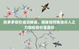 拼多多砍价成功秘籍，揭秘如何集结众人之力轻松砍价至底价