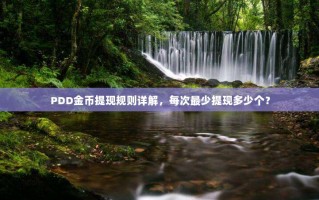 PDD金币提现规则详解，每次最少提现多少个？