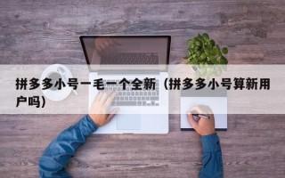 拼多多小号一毛一个全新（拼多多小号算新用户吗）
