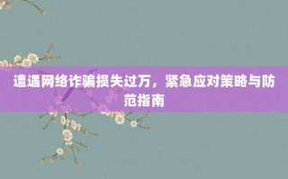遭遇网络诈骗损失过万，紧急应对策略与防范指南