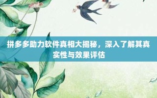 拼多多助力软件真相大揭秘，深入了解其真实性与效果评估