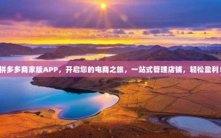 拼多多商家版APP，开启您的电商之旅，一站式管理店铺，轻松盈利！