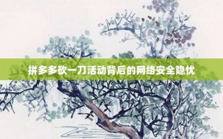 拼多多砍一刀活动背后的网络安全隐忧