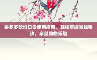 拼多多砍价口令使用指南，轻松掌握省钱秘诀，享受购物乐趣