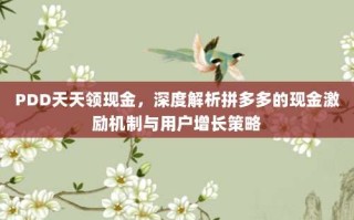 PDD天天领现金，深度解析拼多多的现金激励机制与用户增长策略