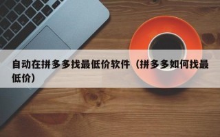 自动在拼多多找最低价软件（拼多多如何找最低价）