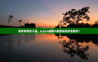 拼多多砍价大战，0.01%的微小差距如何决定胜负？