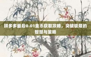 拼多多最后0.01金币获取攻略，突破极限的智慧与策略
