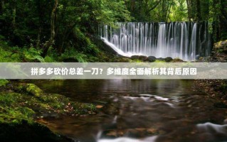 拼多多砍价总差一刀？多维度全面解析其背后原因