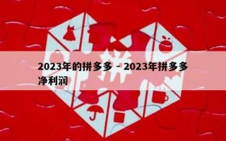 2023年的拼多多 - 2023年拼多多净利润